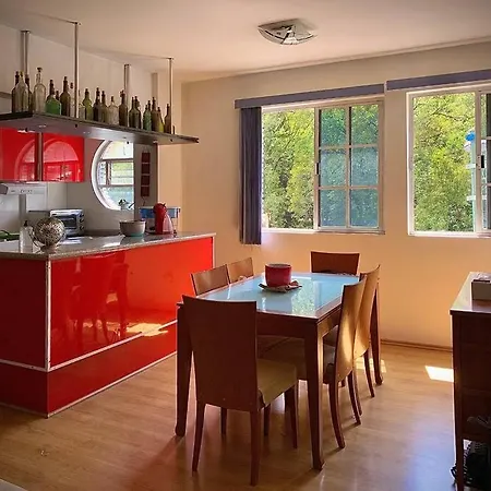 Depto Tipo Loft Frente Al Bosque De Chapultepec Apartment