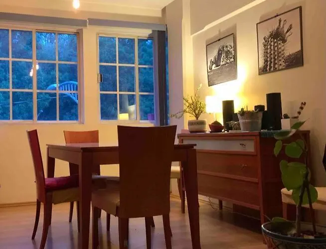 Departamento Frente Al Bosque De Chapultepec *